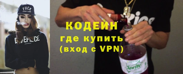 2c-b Краснослободск