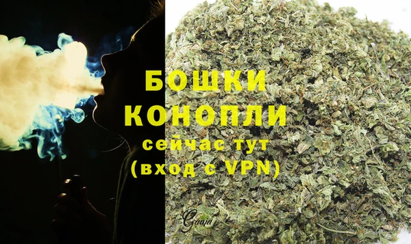 2c-b Краснослободск